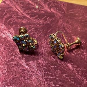 Screw back earrings . Aurora bore ales , reflects light .